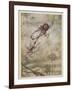 The Spider and the Fly, Illustration from 'Aesop's Fables', Published by Heinemann, 1912-Arthur Rackham-Framed Giclee Print