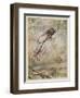 The Spider and the Fly, Illustration from 'Aesop's Fables', Published by Heinemann, 1912-Arthur Rackham-Framed Giclee Print