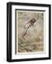 The Spider and the Fly, Illustration from 'Aesop's Fables', Published by Heinemann, 1912-Arthur Rackham-Framed Giclee Print