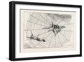The Spider and the Fly-null-Framed Giclee Print