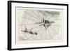 The Spider and the Fly-null-Framed Giclee Print