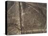 The Spider Geoglyph, aerial view, Nazca, UNESCO World Heritage Site, Ica Region, Peru, South Americ-Karol Kozlowski-Stretched Canvas