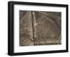 The Spider Geoglyph, aerial view, Nazca, UNESCO World Heritage Site, Ica Region, Peru, South Americ-Karol Kozlowski-Framed Photographic Print