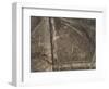 The Spider Geoglyph, aerial view, Nazca, UNESCO World Heritage Site, Ica Region, Peru, South Americ-Karol Kozlowski-Framed Photographic Print