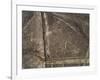 The Spider Geoglyph, aerial view, Nazca, UNESCO World Heritage Site, Ica Region, Peru, South Americ-Karol Kozlowski-Framed Photographic Print