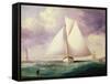 The Spinnaker Sail-Nicholas Matthews Condy-Framed Stretched Canvas