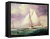 The Spinnaker Sail-Nicholas Matthews Condy-Framed Stretched Canvas