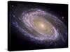 The Spiral Galaxy Known as Messier 81-Stocktrek Images-Stretched Canvas