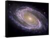 The Spiral Galaxy Known as Messier 81-Stocktrek Images-Framed Stretched Canvas