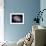 The Spiral Galaxy Known as Messier 81-Stocktrek Images-Framed Premium Photographic Print displayed on a wall