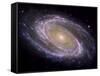 The Spiral Galaxy Known as Messier 81-Stocktrek Images-Framed Stretched Canvas