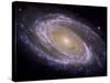 The Spiral Galaxy Known as Messier 81-Stocktrek Images-Stretched Canvas