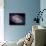 The Spiral Galaxy Known as Messier 81-Stocktrek Images-Photographic Print displayed on a wall