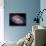 The Spiral Galaxy Known as Messier 81-Stocktrek Images-Framed Photographic Print displayed on a wall