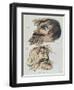 The Spirit Antichrist-Francis Barrett-Framed Giclee Print