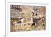 The Spirit of the Hunt-Maurice Brazil Prendergast-Framed Giclee Print