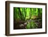 The Spirit of Valley-Viviane Fedieu Daniel-Framed Photographic Print