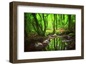 The Spirit of Valley-Viviane Fedieu Daniel-Framed Photographic Print