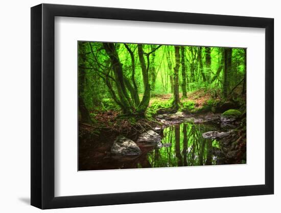 The Spirit of Valley-Viviane Fedieu Daniel-Framed Photographic Print