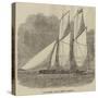 The Spirit, Welled Fishing Schooner-null-Stretched Canvas