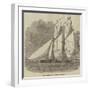 The Spirit, Welled Fishing Schooner-null-Framed Giclee Print