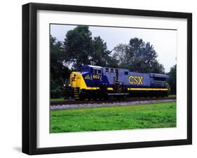 The Spirt of Maryland #602-null-Framed Photographic Print