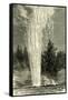 The Splendid Geyser in Action 1891, USA-null-Framed Stretched Canvas