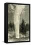 The Splendid Geyser in Action 1891, USA-null-Framed Stretched Canvas