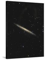 The Splinter Galaxy-Stocktrek Images-Stretched Canvas