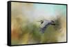 The Spray of the Sea-Jai Johnson-Framed Stretched Canvas