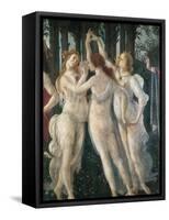 The Spring-Sandro Botticelli-Framed Stretched Canvas