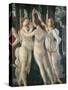 The Spring-Sandro Botticelli-Stretched Canvas