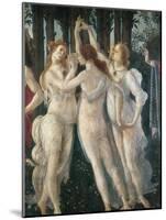 The Spring-Sandro Botticelli-Mounted Art Print