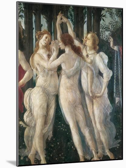 The Spring-Sandro Botticelli-Mounted Art Print