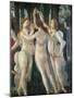 The Spring-Sandro Botticelli-Mounted Art Print