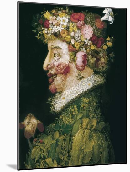 The Spring-Giuseppe Arcimboldo-Mounted Art Print