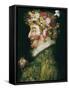 The Spring-Giuseppe Arcimboldo-Framed Stretched Canvas