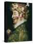 The Spring-Giuseppe Arcimboldo-Stretched Canvas