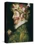 The Spring-Giuseppe Arcimboldo-Stretched Canvas