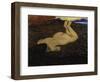 The Spring-Félix Vallotton-Framed Premium Giclee Print