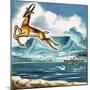 The Springbok, Emblem of South Africa-null-Mounted Giclee Print