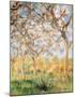 The Springtime-Claude Monet-Mounted Art Print
