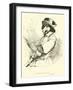 The Squire of the Wood-Sir John Gilbert-Framed Giclee Print