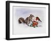 The Squirrel and the Robin-Diane Matthes-Framed Giclee Print