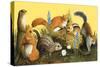 The Squirrel Family, Illustration from Once Upon a Time-null-Stretched Canvas