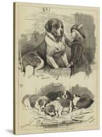 The St Bernard Club Dog Show-Charles Burton Barber-Stretched Canvas