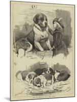 The St Bernard Club Dog Show-Charles Burton Barber-Mounted Giclee Print