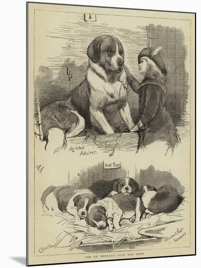 The St Bernard Club Dog Show-Charles Burton Barber-Mounted Giclee Print