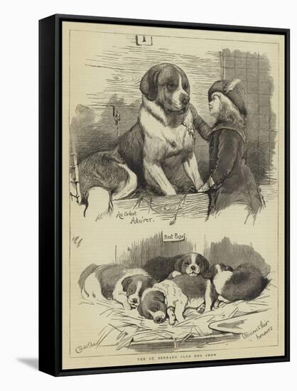 The St Bernard Club Dog Show-Charles Burton Barber-Framed Stretched Canvas
