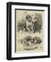 The St Bernard Club Dog Show-Charles Burton Barber-Framed Premium Giclee Print